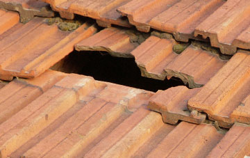 roof repair Smithaleigh, Devon